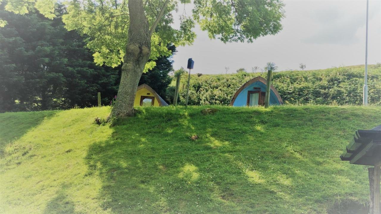 East Coast Adventure Centre Glamping Otel Rostrevor Dış mekan fotoğraf