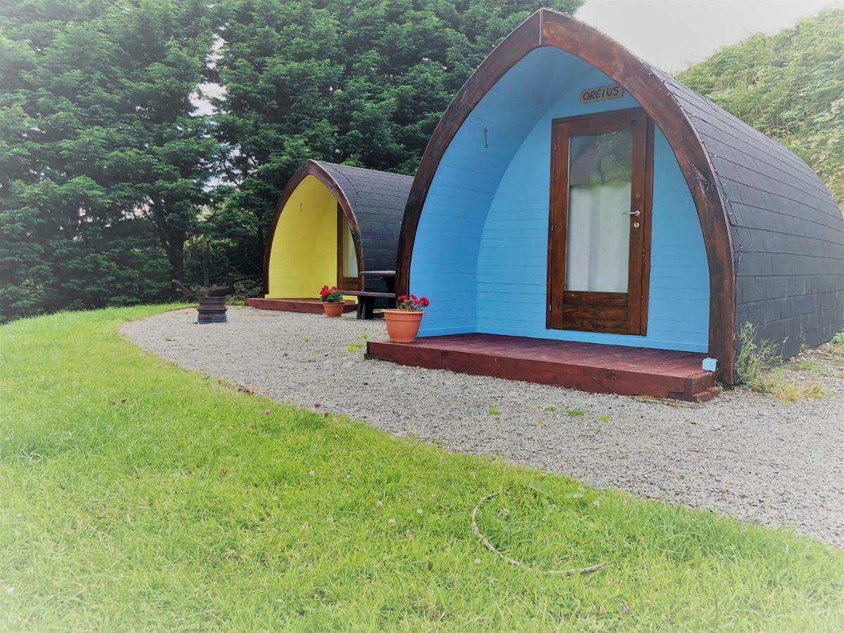East Coast Adventure Centre Glamping Otel Rostrevor Dış mekan fotoğraf